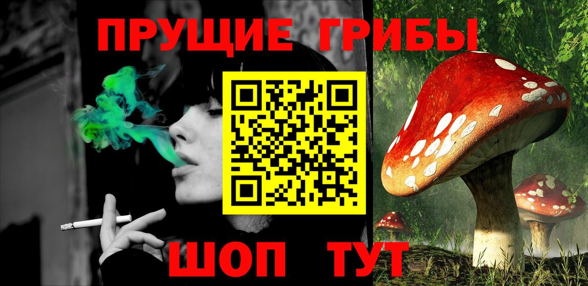 Галлюциногенные грибы Magic Shrooms Юрга