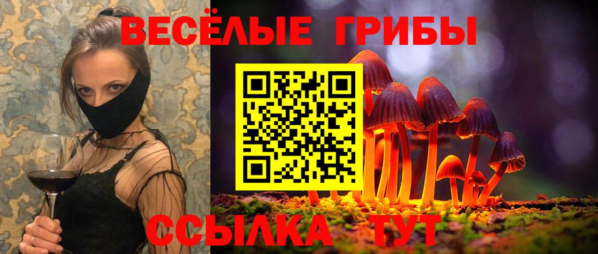 наркошоп  Вход с VPN  Юрга  Псилоцибиновые грибы Psilocybine cubensis 